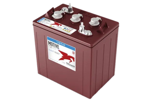 Trojan T-105 Plus 105Ah 6V Flooded Lead Acid Battery 