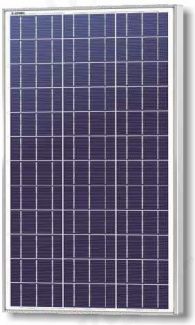 Solarland Solar Panel 60W 12V C1D2 - SLP060-12C1D2